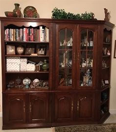 Book Shelf and Display Cabinet