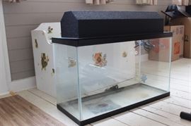 Reptile tank or terrarium