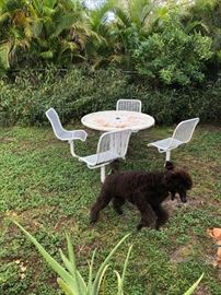 ROMEO PRANCING THROUGH THE YARD IN FRONT OF AN ANTIQUE TABLE & CHAIRS SET... CONNECTED