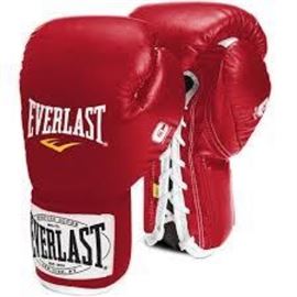 Everlast 1910 Classic Training Boxing Gloves