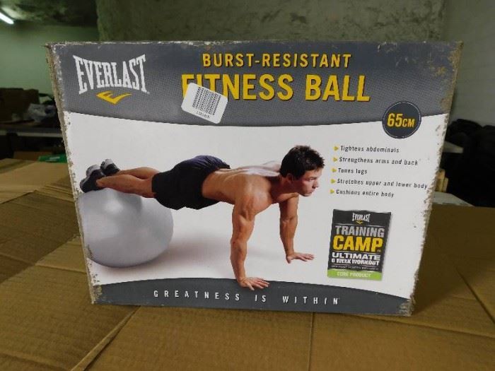 Everlast Burst Resistant Fitness Ball