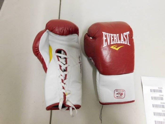 Everlast Training Boxing Gloves