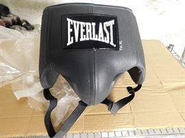 Everlast Pro Style Foul Cup