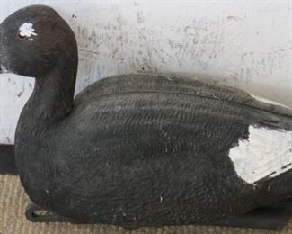Duck decoy