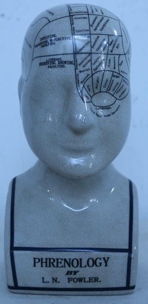 Phrenology head