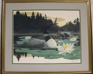 Common Loon by Richard Sloan