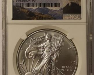 Graded American silver eagle