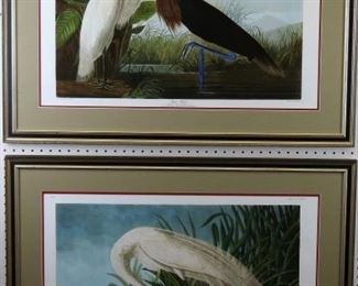 Purple Heron and White Heron by John J Audobon