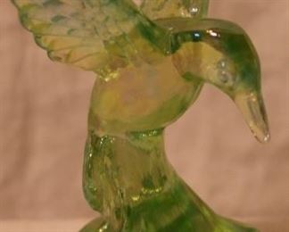 Fenton Hummingbird