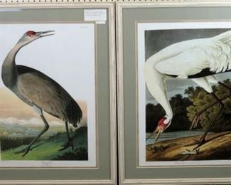 Hooping Cranes by John J Audobon