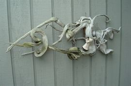 Driftwood decoration.