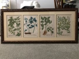 Johann Weinmann Botanical Prints from the 1700's $1800 for the piece Each etching is approximately 9-1/4” width x 13-3/4” height measured from interior beveled mats. All material used in framing is acid-free.
Each print shows the N numbers on top right of the prints. The numbers are as noted on the back of each print:
N1020 - A24R28. 1736-48
N367 - A24R28. 1736-48
N432 - A 24R28
N745 - A24R35. 1736-48 WEINMANN
The frame’s approximate dimensions are: width 49”, height 22 1/2”.
You will see glare on the photos; however, the etchings and frame are in good condition.