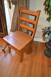 CHAIR/LADDER