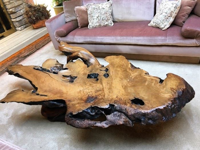 Monumental Cypress tree coffee table purchased from a Carmel, California gallery. Measures approximately 84 inches long by 39 inches wide, by 20 inches tall.