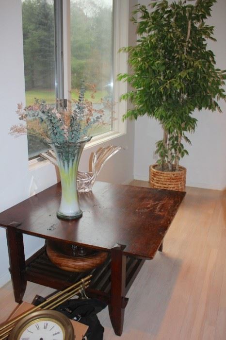 Quality Decorative Items, Ficus Plant and Table