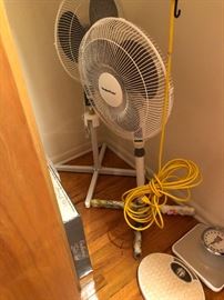 Fans out of season cheap now 