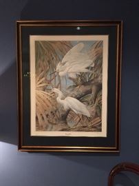 Large Print of the Snowy Egret from the Warner Collection