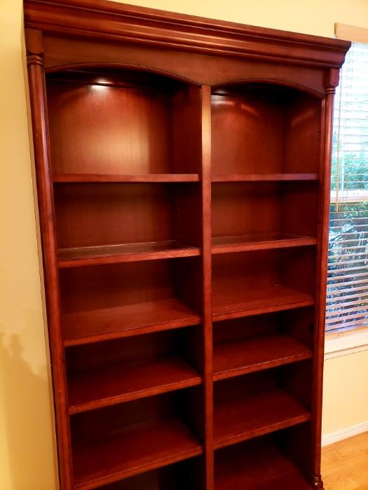 lighted book/display case