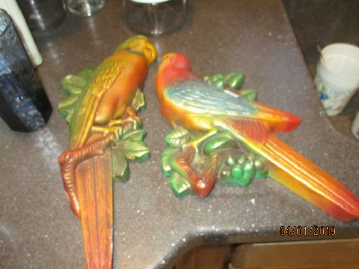 large chalk parrots