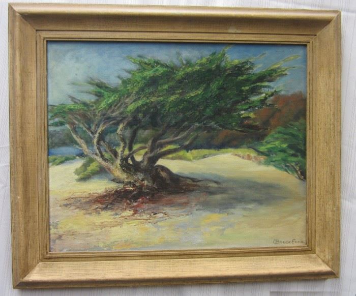 Impressionism oil on canvas board of a California Cypress tree