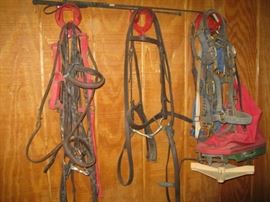 bridles and halters