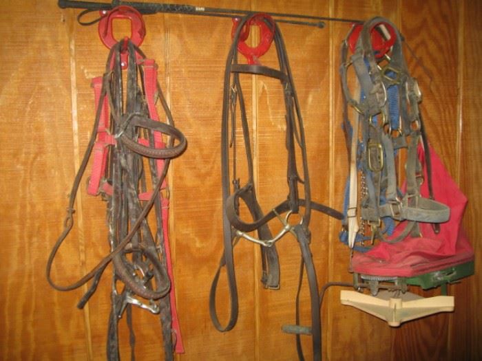 bridles and halters