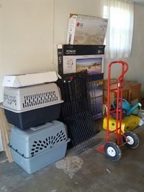 Several dog crates