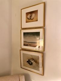 Symon Cowles Framed In Series Pastels
