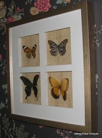 Framed Butterflies