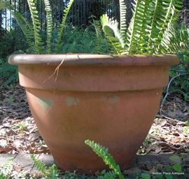 Planters and pots abound