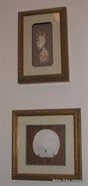 Framed Shells
