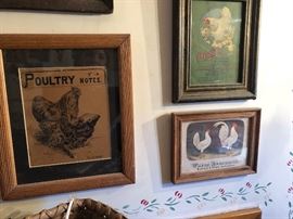 Feed & Seed advertising 