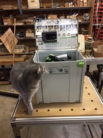 Stewie Checking out the Saw