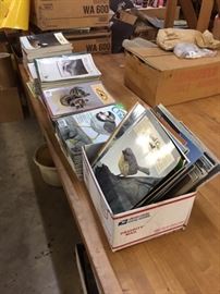 Wildfowl Carving Magazines