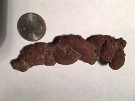 Coprolite!