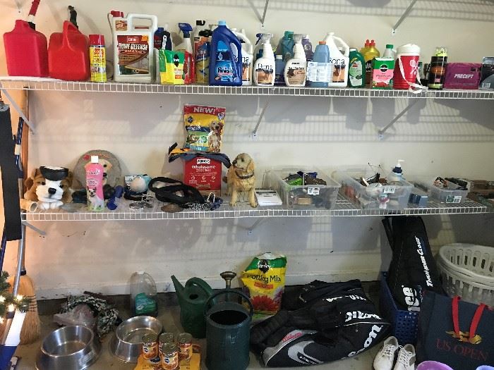 Dog, Pet Supplies, Cleaning products,  Prince Tennis rackets