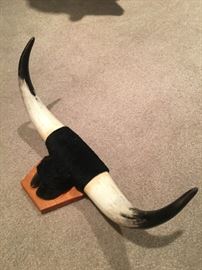 Vintage Bull's Horn & Hoof!