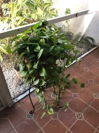 VERY NICE PLANT STAND AND PLANT 