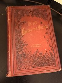 On The Banks Of The Amazon 