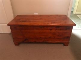 cedar trunk