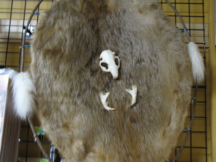 Beaver Pelt, skull, claws