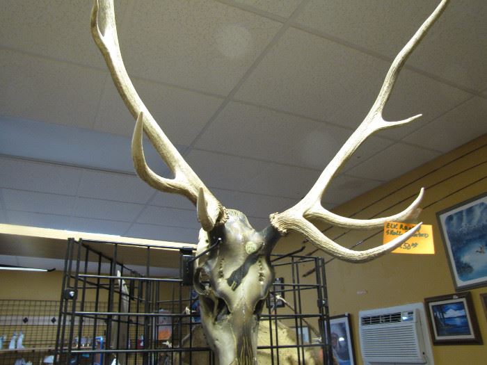 Painted elk skull