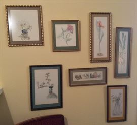 Framed botanical watercolors