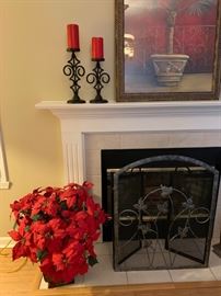 Poinsetta and fireplace screen