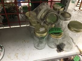 Canning jars and lids