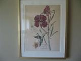 early 1900's floral prints