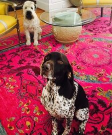 Gorgeous 8'11 x 12 Abbas Afgan Hot Pink Oriental Rug! Models not included :)