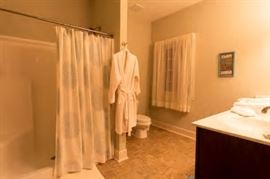 Shower and Shower Curtain