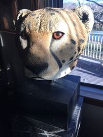 Cheetah bust 