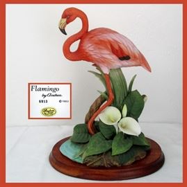 Beautiful Flamingo by Andrea 